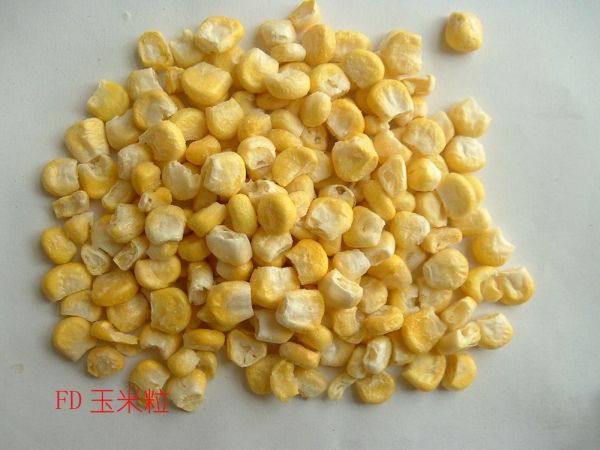 Freeze dried sweet corn