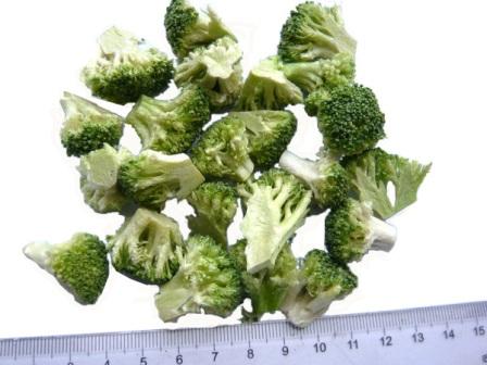 Freeze dried broccoli floret