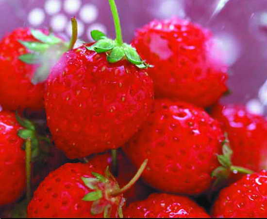 IQF Strawberry