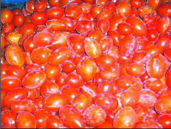 IQF Cherry Tomato