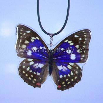 Real Butterfly Necklace