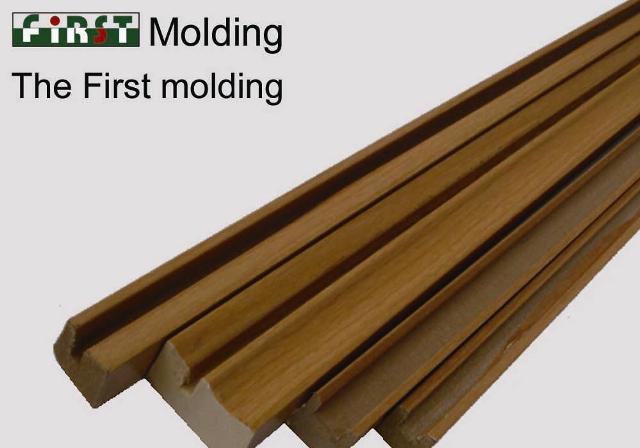 Coated molding  