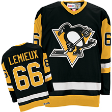 #66 MARIO LEMIEUX penguins 2009 NHL jersey