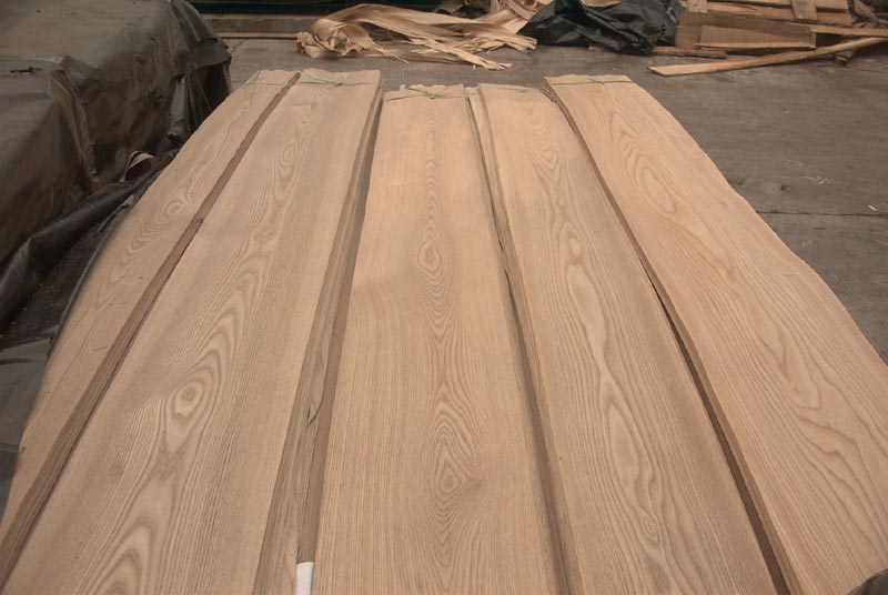 Elm veneer