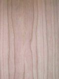 American cherry veneer