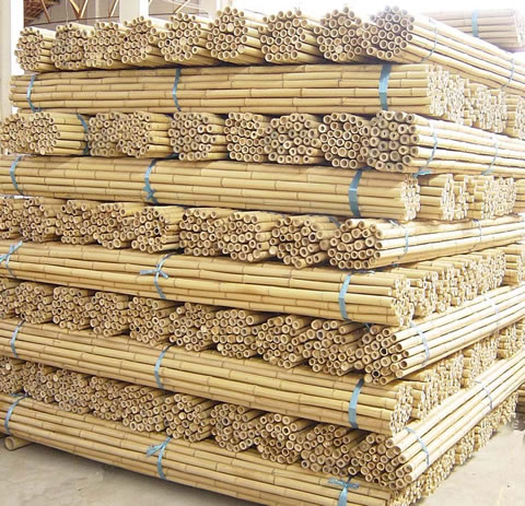 natural bamboo,bamboo canes,bamboo poles