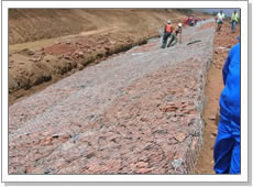 Gabion Cages