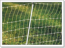 Poultry Netting