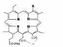 sell  odium copper chlorophyllin