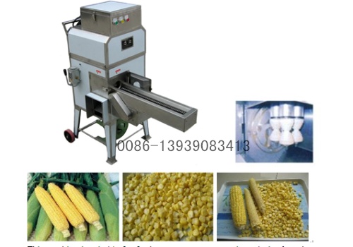 Fresh corn cutter0086-13939083413