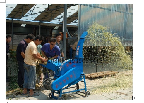 Grass chopping machine0086-13939083413