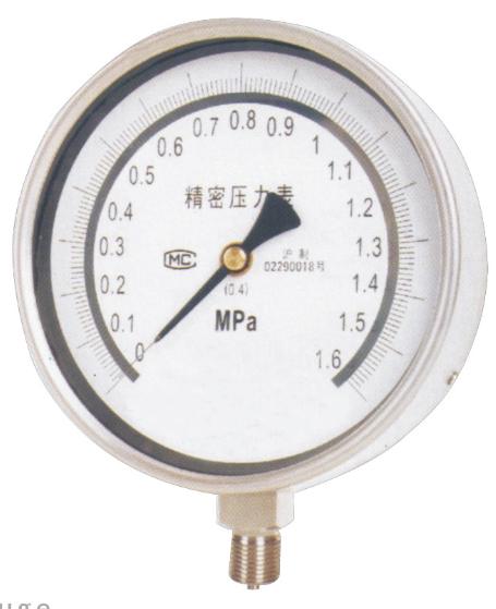 Stainless steel test gauge