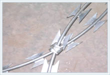 Razor Coil Fencing