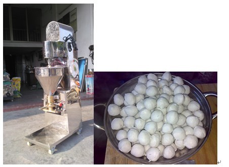 Fish Ball Forming Machine 