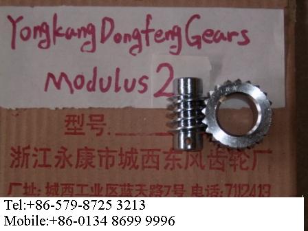 worm gear units(modulus2.0)