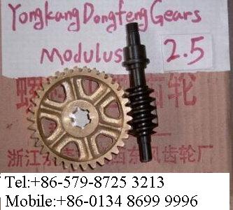 worm gear set  (module:2.5)