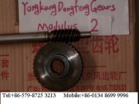 worm gear units(module:2)