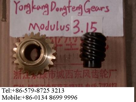 worm gear set  (modulus3.15)