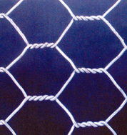 hexagonal wire mesh