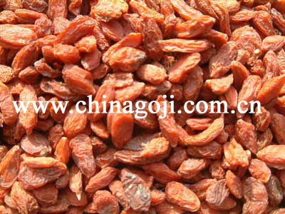 GOJI BERRIES