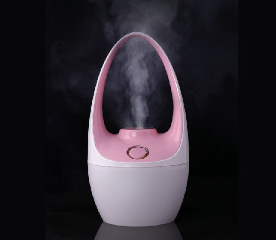 Car air humidifier