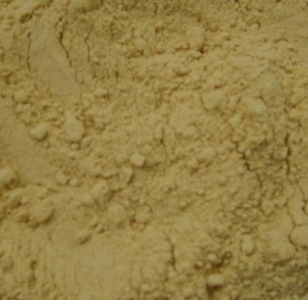 Dehydrated Ginger powder