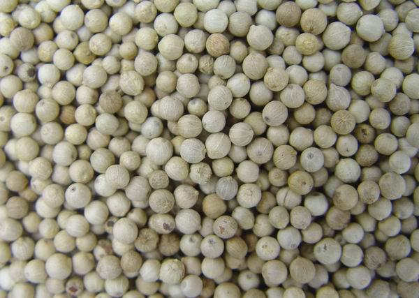 White pepper powder