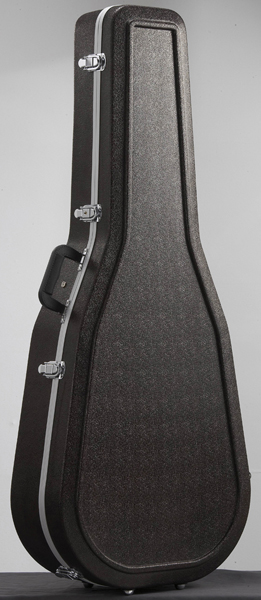 Acoustic guitar case