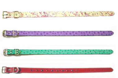 Pet Collars & Leashes