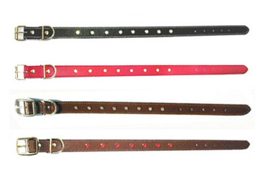 Pet Collars & Leashes