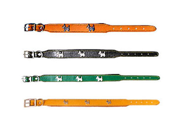 Pet Collars & Leashes