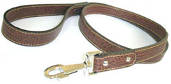 Pet Collars & Leashes