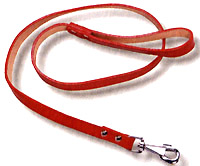 Pet Collars & Leashes