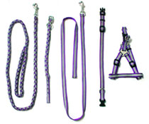 Pet Collars & Leashes