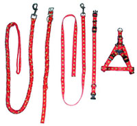 Pet Collars & Leashes