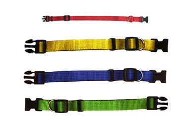 Pet Collars & Leashes