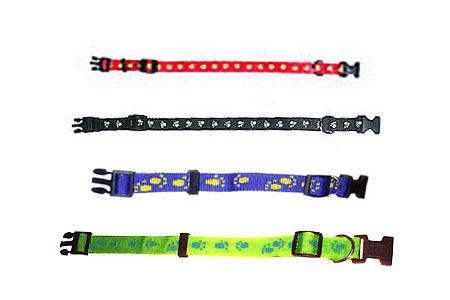 Pet Collars & Leashes