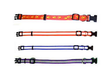 Pet Collars & Leashes