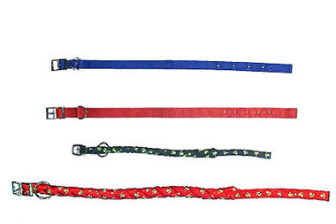 Pet Collars & Leashes