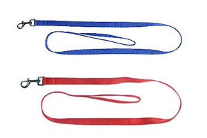 Pet Collars & Leashes