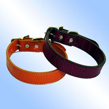 leather dog collars