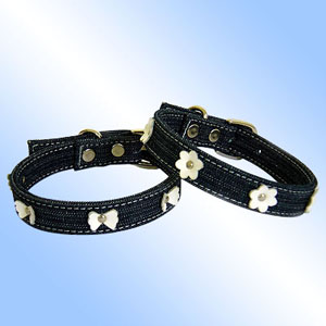 leather dog collars