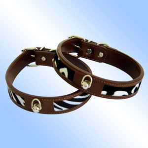 leather dog collars