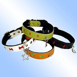 leather dog collars