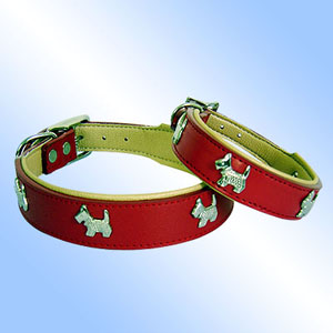 leather dog collars