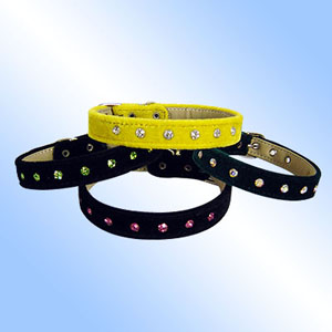 leather dog collars