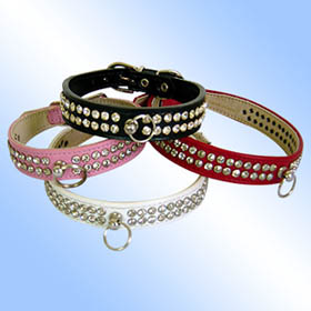 leather dog collars