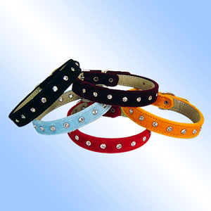 leather dog collars