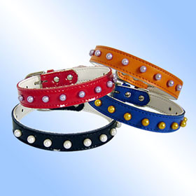 leather dog collars