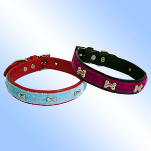 leather dog collars